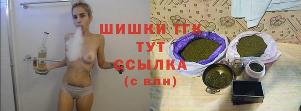 прущие крисы Вяземский