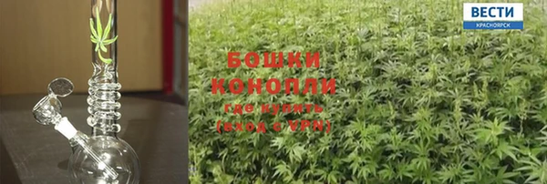 стафф Семёнов