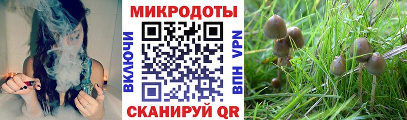 Псилоцибиновые грибы мухоморы  где найти наркотики  Бабаево 